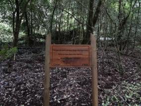 Isla Mocha y Tirúa quieren reconstruirse con Ecoturismo