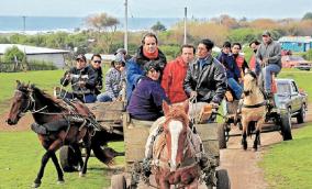 Autoridades prometen solucionar las tareas pendientes de Isla Mocha